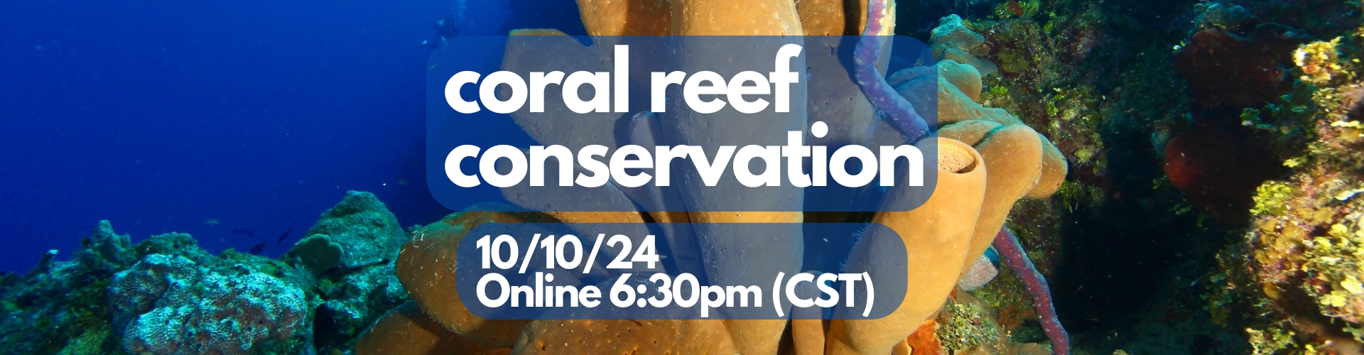 10/10 Coral Reef Conservation