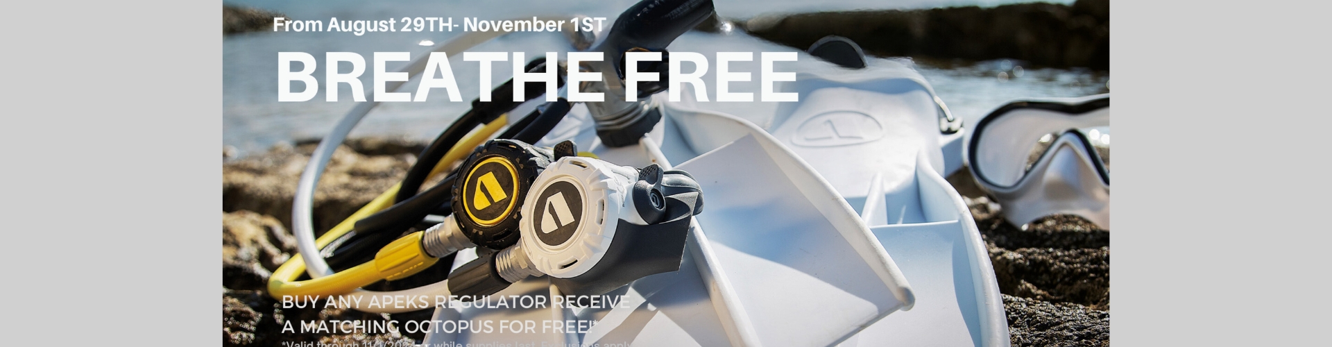 11/1 Apex Free Octo reg purchase